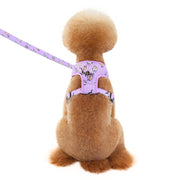 ドッグ用品 2点セット ハーネス リード アニマルおしり かわいい お洒落 小型犬 中型犬 お散歩 お出かけ ドッグラン カジュアル ギフト プレゼント 贈り物 S M L XL パープル イエロー ブルー