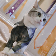 ペットウェア カジュアルシャツ 犬服 猫服 ドッグウェア 洋服 ペット服 チェック柄シャツ 小型犬 中型犬 前ボタン イヌ ネコ かわいい カジュアル ペット用品