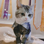 ペットウェア カジュアルシャツ 犬服 猫服 ドッグウェア 洋服 ペット服 チェック柄シャツ 小型犬 中型犬 前ボタン イヌ ネコ かわいい カジュアル ペット用品