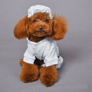 ペットウェア ドックウェア パジャマ ロンパース ルームウエア 帽子 2点セット 犬服 犬の服 ペット用品 袖あり ボタン ロゴ 熊 クマ かわいい おしゃれ