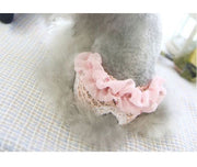 マナーパンツ 犬 メス サニタリーパンツ 生理パンツ ドッグ 女の子 犬用 ワンちゃん パンツ ドッグウェア かわいい おでかけ