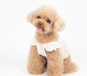 ドッグウェア キャミソール キャミ フリル トップス 犬服 犬の服 ペットウェア ペット用品 小型犬 中型犬 水玉 ドット柄 かわいい おしゃれ おでかけ お散歩 いぬ イヌ