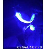ペット用アクセサリー 首輪アクセサリー LEDライト 犬 ペット用品 丸 チャーム 青 緑 夜間 光る 散歩 安全 リチウム