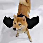 ペット用コスチューム 犬用 猫用 コスプレ 仮装 コウモリ 蝙蝠 こうもり 翼 羽根 変身 マジック テープ Dカン ドッグ キャット コスプレグッズ ハロウィン なりきり かわいい 面白い イベント パーティ 衣装 いぬ イヌ ネコ ねこ ペット用品