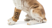 レッグウォーマー 靴下 ペット用 犬用 猫用 4枚セット 1足分 関節保護 カバー 汚れ防止 防寒 あったか くつ下 ソックス 冷え防止 床ずれ防止 介護 老犬 レッグサポーター いぬ イヌ おしゃれ かわいい ペット用品