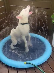 ペット用噴水マット 犬用 直径100cm プールマット ウォータープレイマット 水遊び 噴水 シャワー ワンちゃん用プール  ペットグッズ イヌ いぬ スプラッシュ スプリンクラー ドッグ 家庭用 屋外 庭 犬用遊具