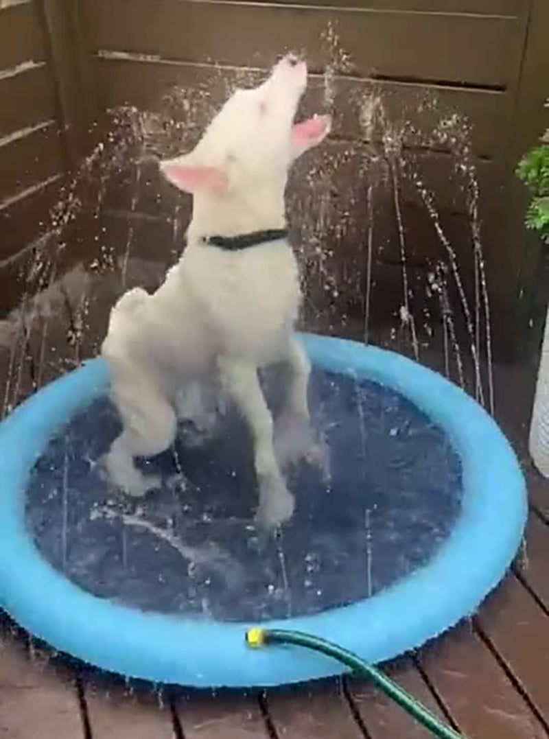 ペット用噴水マット 犬用 直径100cm プールマット ウォータープレイマット 水遊び 商品画像3