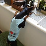 ペット服 タンクトップ ドッグウエア キャットウエア 犬 猫 レタード 英字 ロゴタンク ノースリーブ お散歩 お出掛け 春 夏 薄手 ペット用品 ペットグッズ 青 ピンク オレンジ グレー
