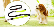 ウエストリード ハンズフリー リード 腰ベルト付き 犬用 小型犬 中型犬 ペット用品 ペットグッズ 伸縮 多機能 リーシュ 散歩 ジョギング ランニング Dカン