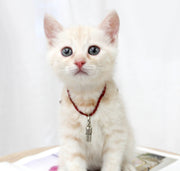 ペット用IDカプセル 猫用 犬用 迷子札 識別タグ ネームタグ 名札 住所 アドレス メモ入れ 小型 ミニ 軽量 大小 脱走対策 金属製 銀色 シンプル ネコ イヌ ねこ いぬ ペットグッズ