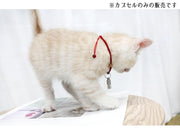 ペット用IDカプセル 猫用 犬用 迷子札 識別タグ ネームタグ 名札 住所 アドレス メモ入れ 小型 ミニ 軽量 大小 脱走対策 金属製 銀色 シンプル ネコ イヌ ねこ いぬ ペットグッズ