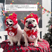 ペット用帽子 コスプレ ペットウェア ドッグウェア 犬用 猫用 小型犬 コスチューム 仮装 クリスマス かぶり物 ペット用品 トナカイ 三角帽子 パーティー イベント おしゃれ かわいい ぼうし ギフト プレゼント 贈り物 イヌ いぬ ネコ ねこ ドッグ キャット