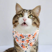 猫用首輪 ペットカラー セーフティーバックル セーフティバックル 猫用 ネコ用 ねこ用 首輪 バンダナ よだれかけ 花柄 スカーフ ネコ 猫 首飾り スタイ 鈴付き すず サイズ調節 デイジー フラワー