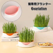 猫草用プランター 水耕栽培 ペット用品 猫 犬 屋内用 室内 栽培 猫草 葉っぱ 毛玉 胃腸 ストレス軽減 便秘予防 ねこ草