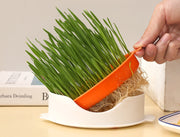 猫草用プランター 水耕栽培 ペット用品 猫 犬 屋内用 室内 栽培 猫草 葉っぱ 毛玉 胃腸 ストレス軽減 便秘予防 ねこ草