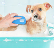 ペット用ブラシ シャンプーブラシ ブラシ ペット用品 バスブラシ バス用品 グルーミング 犬用 猫用 お手入れ 抜け毛取り 抜け毛除去 お風呂 ソフト やわらかい かわいい おしゃれ コンパクト 小さめ 緑 橙