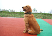 ペット 首輪 犬 ワンちゃん 極太 大型犬 中型犬 愛犬 4cm幅 5cm幅 可愛い かっこいい ミリタリー おしゃれ 散歩 緑 グリーン シック シンプル 兵隊風 軍隊風 クール グリーン