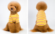 ドッグウェア 犬用Tシャツ イヌ わんちゃん ペットウェア ペット用品 洋服 袖あり ラウンドネック ボーダー 汚れ防止 お散歩 お出かけ カジュアル 普段使い 小型犬用