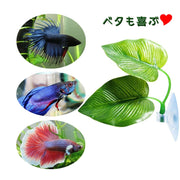 熱帯魚用 人工水草 2個セット 水中植物 吸盤タイプ 水草 アクアリウム 水槽 レイアウト用品 フェイク 熱帯魚 海水魚 オブジェ 装飾 内装 観賞魚