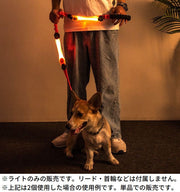 お散歩ライト LEDライト 犬 猫 ペット用品 光る首輪 リード ハーネス ボタン電池式 夜間 視認性 安全対策 おしゃれ シリコン製