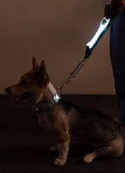 お散歩ライト LEDライト 犬 猫 ペット用品 光る首輪 リード ハーネス ボタン電池式 夜間 視認性 安全対策 おしゃれ シリコン製