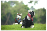 ペット用ジャケット ペット用コート ペット用アウター 犬服 ペットウェア 小型犬 大型犬 イヌ ネコ 長袖 ジップアップ 裏起毛 フェイクレザー 無地 ブラック ブラウン かっこいい クール お散歩 お出かけ 秋 冬