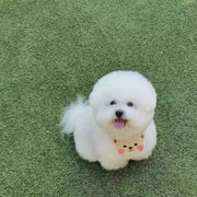 ペット用スタイ よだれかけ ビブ 犬 イヌ 猫 ネコ ペット用品 首飾り ペットグッズ 小型犬 動物 アニマル クマ かわいい おしゃれ