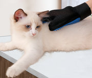 ペット用ブラシ グルーミンググローブ ラバーブラシ 片手用 手袋型 ペット用品 ケア用品 猫用 犬用 ブラシ付き手袋 ブラッシング お手入れ 抜け毛対策
