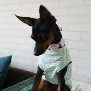 チョーカー 首飾り 首輪 犬 猫 小型犬 ペット用 アクセサリー ニット 手編み風 花 フラワー カラフル 可愛い おしゃれ おめかし