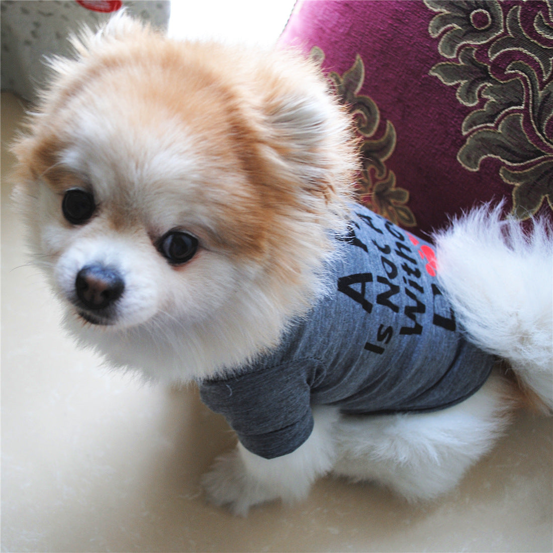 ペット用 犬用 洋服 ドッグウエア Tシャツ プルオーバー 商品画像2