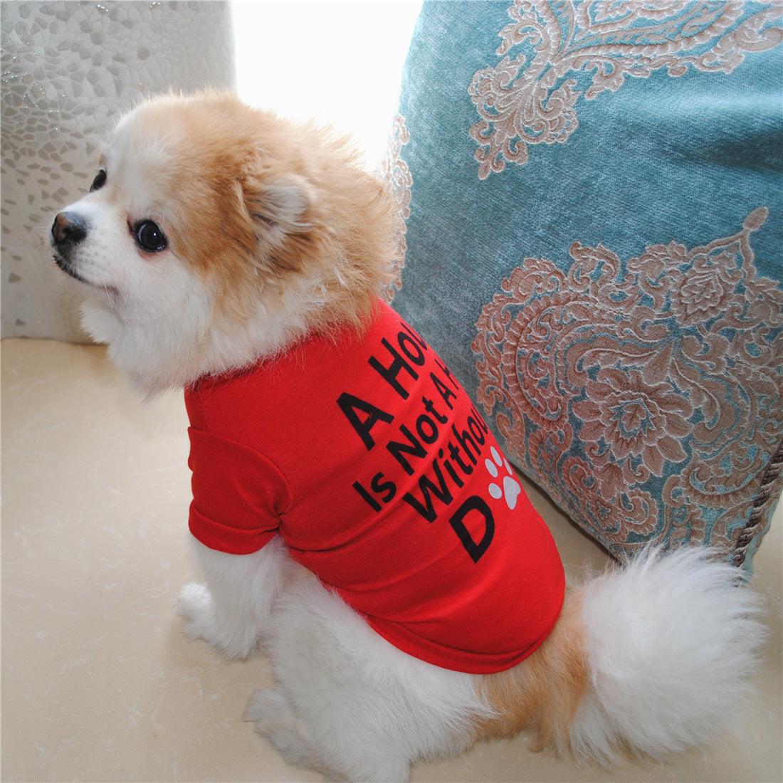 ペット用 犬用 洋服 ドッグウエア Tシャツ プルオーバー 商品画像5