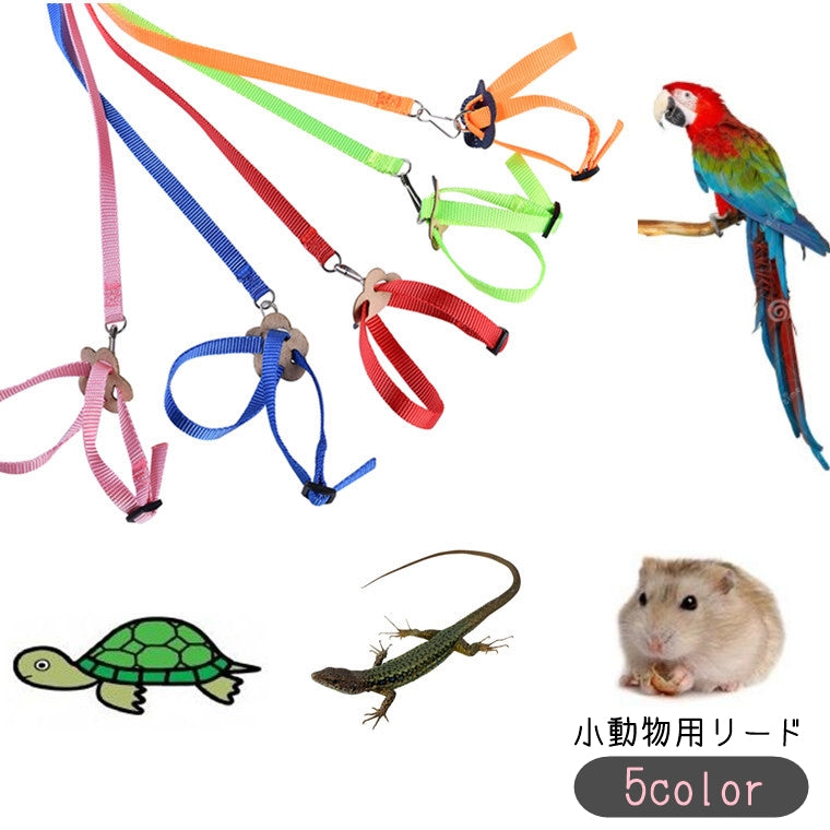 ハーネスリード 小動物用リード お散歩リード 小鳥 インコ オウム 商品画像