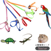 ハーネスリード 小動物用リード お散歩リード 小鳥 インコ オウム ハムスター トカゲ 亀 カメ 爬虫類 ペットグッズ ペット用品 お散歩グッズ 120cm 無地 ピンク ブルー レッド シンプル カジュアル かわいい キュート お出かけ