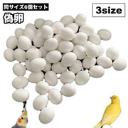 偽卵 小鳥用 擬卵 6個セット ダミー卵 フェイク卵 小鳥 愛鳥 オカメイインコ コザクラインコ 繁殖抑制 すり替え 長寿 抱卵 個体数管理 フェイクバードエッグ