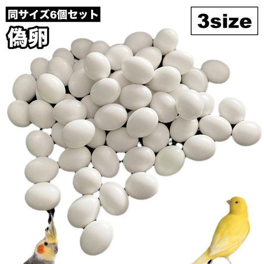 偽卵 擬卵 6個セット ダミー卵 フェイク卵 小鳥 商品画像