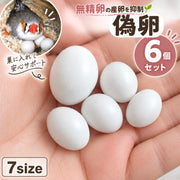 偽卵 擬卵 6個セット ダミー卵 フェイク卵 小鳥 愛鳥 セキセイインコ 繁殖抑制 長寿 抱卵 個体数管理 フェイクバードエッグ
