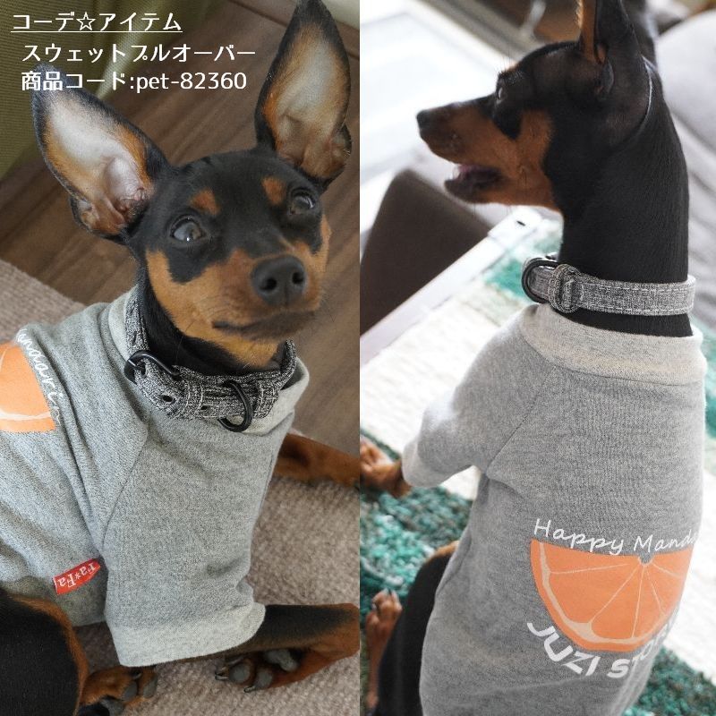 首輪 犬用 小型犬 中型犬 猫用 ペット用品 商品画像3