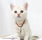 ペット用IDカプセル 単品 1個 迷子札 ネームタグ 猫用 犬用 脱走対策 迷子対策 メモ入れ 小動物 散歩 お出掛け ネコ用 イヌ用 ペット用品 ペットグッズ
