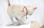 ペット用IDカプセル 単品 1個 迷子札 ネームタグ 猫用 犬用 脱走対策 迷子対策 メモ入れ 小動物 散歩 お出掛け ネコ用 イヌ用 ペット用品 ペットグッズ