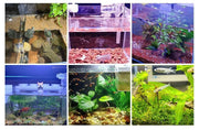 水槽ライト 水槽照明 LEDライト USB給電式 熱帯魚 観賞魚 アクアリウム 水草 ミニライト 小型 クリップ式 カラフル 角度調節可能 丸形 ラウンド