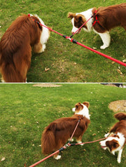 リード ペット用リード 2頭引きリード 犬 ペット用品 2頭用 2頭引き ダブルリード 多頭飼い 小型件 中型犬 大型犬 お散歩 お出かけ シンプル ブラック ブルー レッド