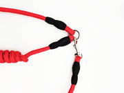 リード ペット用リード 2頭引きリード 犬 ペット用品 2頭用 2頭引き ダブルリード 多頭飼い 小型件 中型犬 大型犬 お散歩 お出かけ シンプル ブラック ブルー レッド