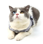 ハーネス リード 2点セット 犬用 猫用 胴輪 マジック テープ 調節可能 ワンタッチバックル ペット用品 反射材付き 夜光 散歩紐 リーシュ チェック柄 イヌ用 ネコ用 ペットグッズ 外出 お出掛け お散歩 いぬ ねこ XS S M L XL