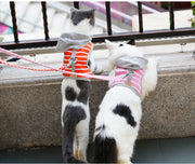 ハーネス リード 2点セット 猫用 犬用 ペットグッズ 胴輪 散歩紐 リーシュ ボーダー柄 フード付 バックル マジック テープ カジュアル おしゃれ かわいい お散歩 お出かけ ペット用品