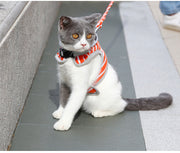 ハーネス リード 2点セット 猫用 犬用 ペットグッズ 胴輪 散歩紐 リーシュ ボーダー柄 フード付 バックル マジック テープ カジュアル おしゃれ かわいい お散歩 お出かけ ペット用品