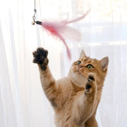 猫じゃらし 猫用おもちゃ ペット用品 ねこじゃらし 猫 おもちゃ 羽 トンボ 運動不足解消 ストレス解消 フェイクファー ふわふわ かわいい 羽根 ペット