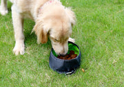 折りたたみ式フードボウル 折りたたみ式ウォーターボウル ペット用品 犬用 ペット用食器 携帯フードボウル 携帯用ウォーターボウル コンパクト 持ち運び便利 便利 折り畳める 携帯用 犬用食器 犬 いぬ 散歩 さんぽ おでかけ 小型犬 中型犬 大型犬 防水 グリーン ブラック ブルー グレー 緑 黒 青