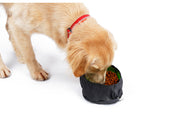 折りたたみ式フードボウル 折りたたみ式ウォーターボウル ペット用品 犬用 ペット用食器 携帯フードボウル 携帯用ウォーターボウル コンパクト 持ち運び便利 便利 折り畳める 携帯用 犬用食器 犬 いぬ 散歩 さんぽ おでかけ 小型犬 中型犬 大型犬 防水 グリーン ブラック ブルー グレー 緑 黒 青