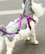ハーネス リード セット 犬 小型犬 胴輪 リーシュ 胸当て 引綱 ペットグッズ 犬用品 お散歩 お出掛け 柄 グリップ ドット 調節可 内側メッシュ 着脱簡単