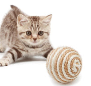 猫用おもちゃ 4個セット ペット用おもちゃ ボール キャットトイ 音が鳴る ペット用玩具 犬用 ランダムカラー 麻縄 運動不足解消 ストレス発散 コミュニケーショングッズ 球体 ペット用品 ペットグッズ かわいい 小さめ お部屋遊び ピンク 黄 緑 紫